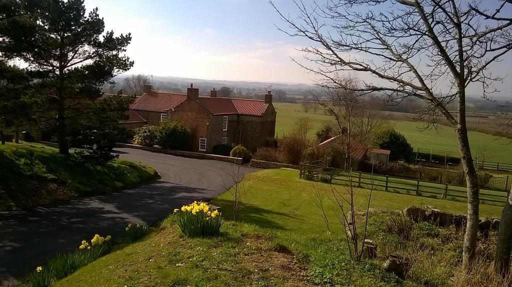 Little Holtby B&B Kirkby Fleetham 외부 사진